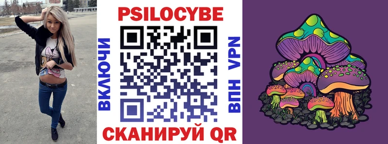 blacksprut как войти Новомичуринск Галлюциногенные грибы ЛСД